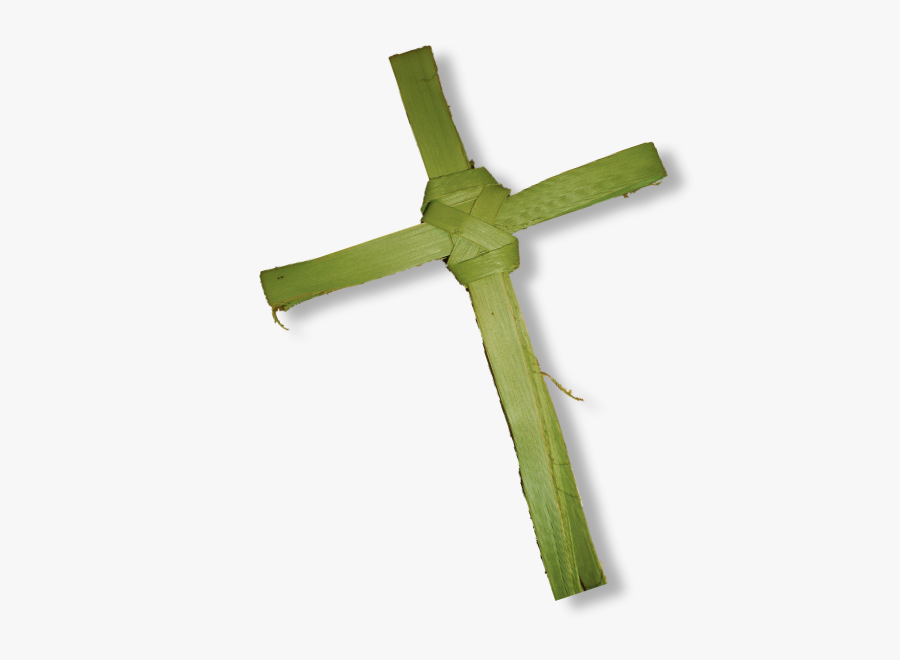 Palm Branch Christian Cross Palm Trees Photography - Fresh Palm Crosses For Sale, Transparent Clipart