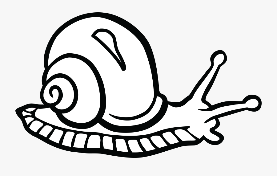 Picture Royalty Free Stock Gastropods Black And White - Clipart Of A Snail, Transparent Clipart