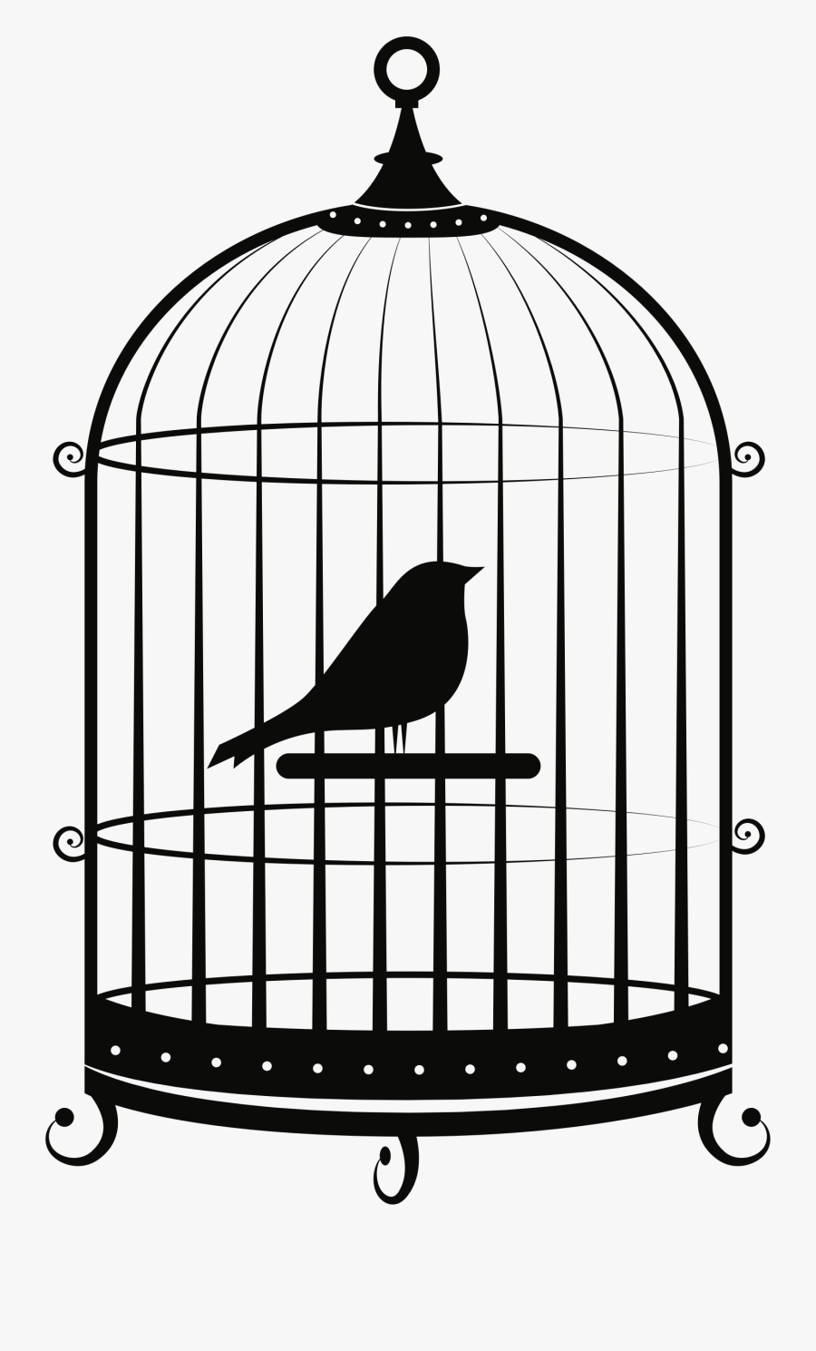Birdcage Parrot Clip Art - Bird In Cage Png, Transparent Clipart