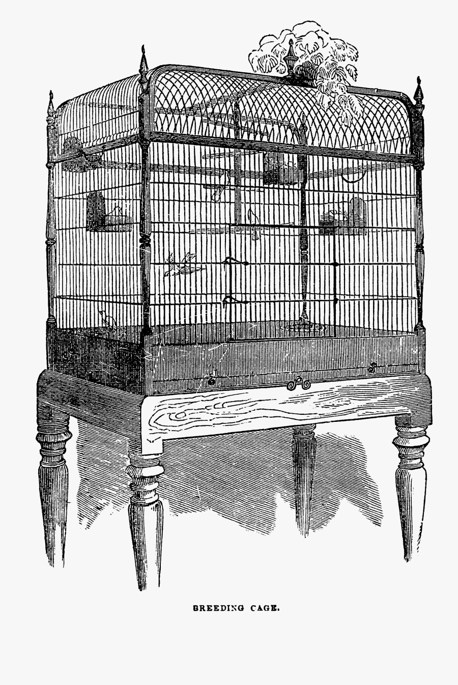 Birdcage Clipart Vintage Birdcage - Cage, Transparent Clipart
