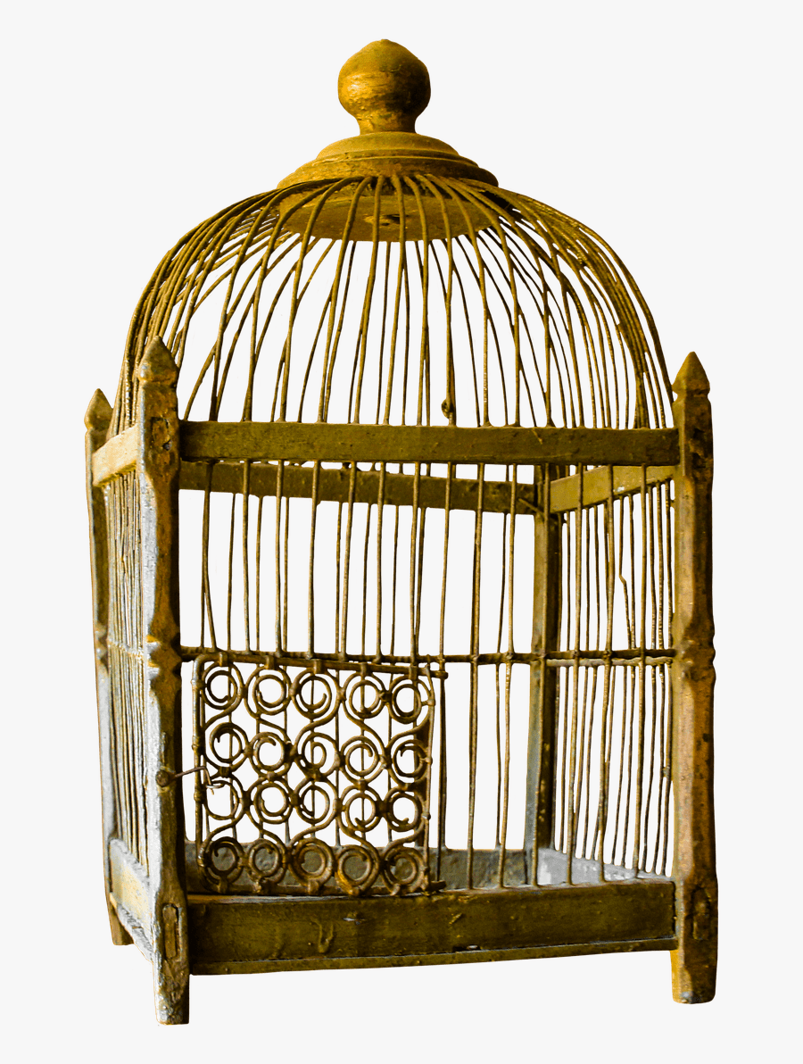 Bird Cage - Bird Cage And Cat, Transparent Clipart