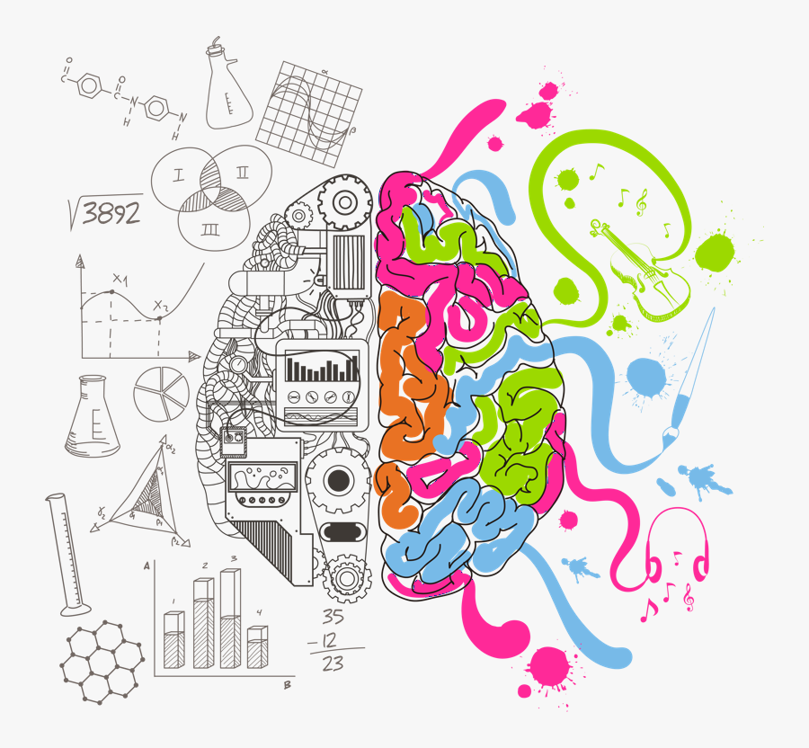 Creative Brain Png - Creative Genius Brains, Transparent Clipart