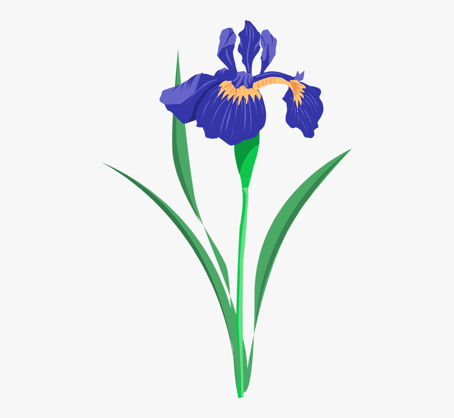 Iris Clip Art - Iris Flower Clip Art, Transparent Clipart