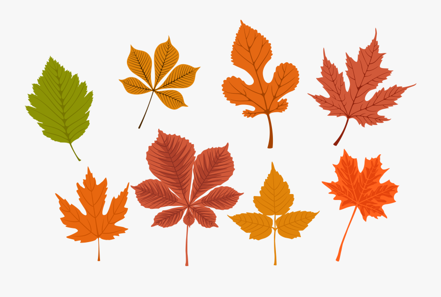 Fall Leaves And Pumpkin Clip Art, Transparent Clipart