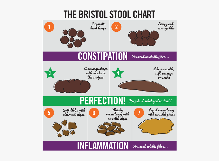 Bristol Stool Chart Png