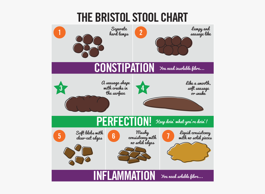 Clip Art Poops Photos - Bristol Stool Chart Fibre , Free Transparent ...