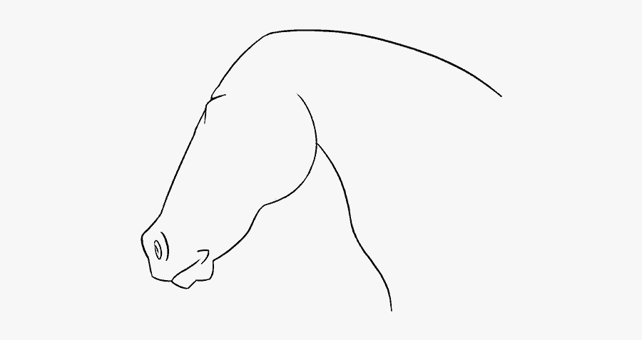 How To Draw A Horse Head Step By Step - Line Art, Transparent Clipart