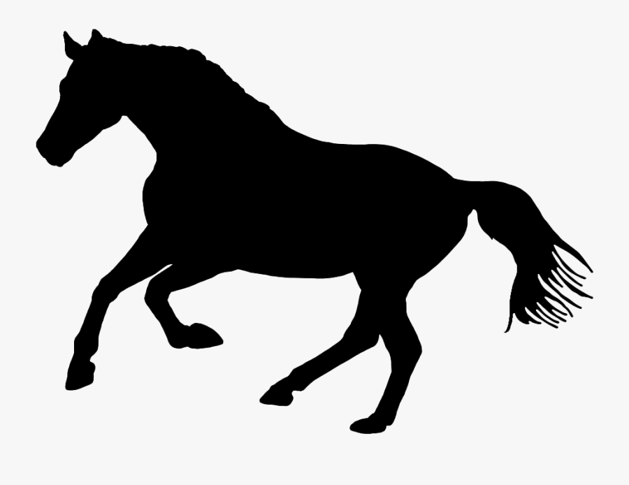 Black Silhouette Of Horse In Nature - Black And White Horse Logo, Transparent Clipart