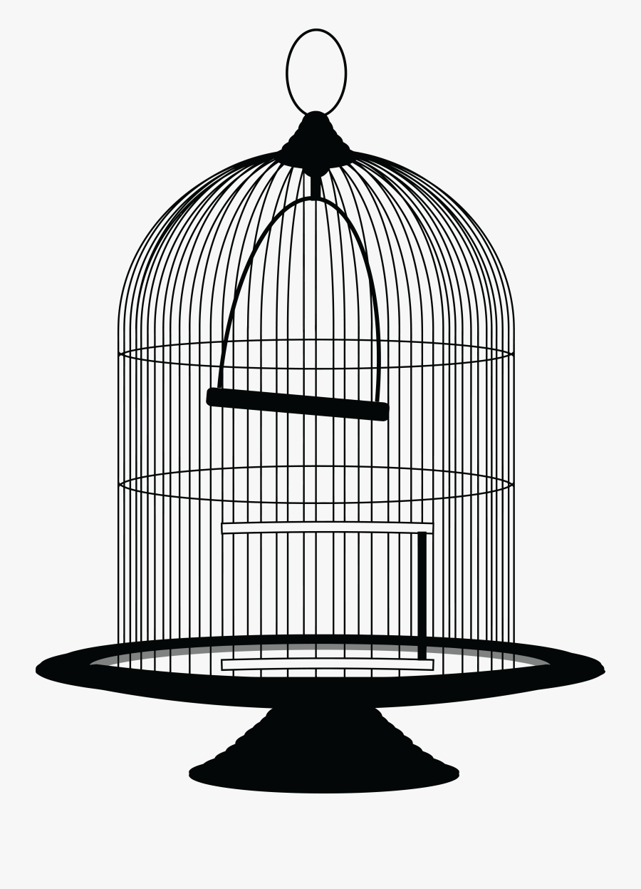 28 Collection Of Bird Cage Clipart Png - Bird Cage Clipart Black And White, Transparent Clipart