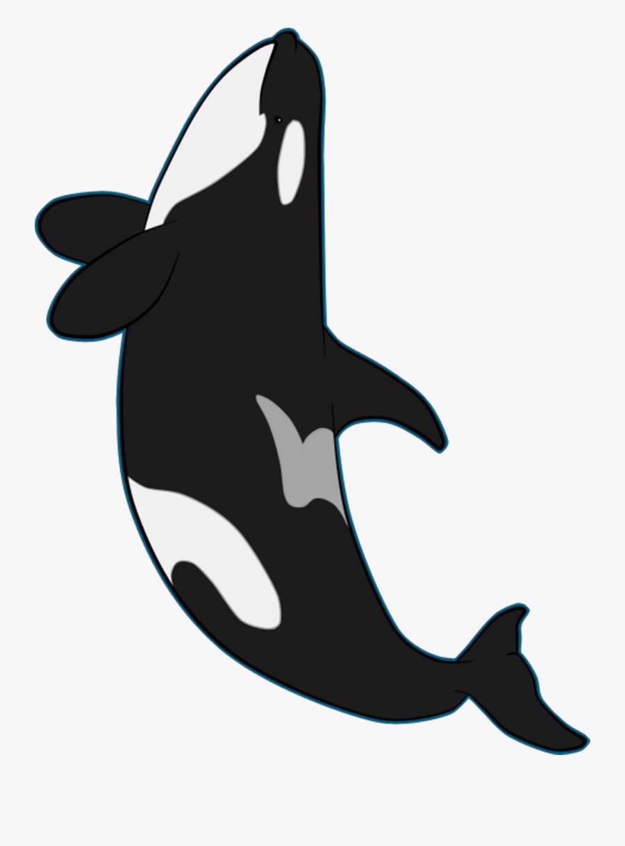Transparent Orca Art Clipart , Png Download, Transparent Clipart