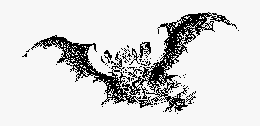 Bat Scary Demon Illustration - Bat Scary Drawing, Transparent Clipart