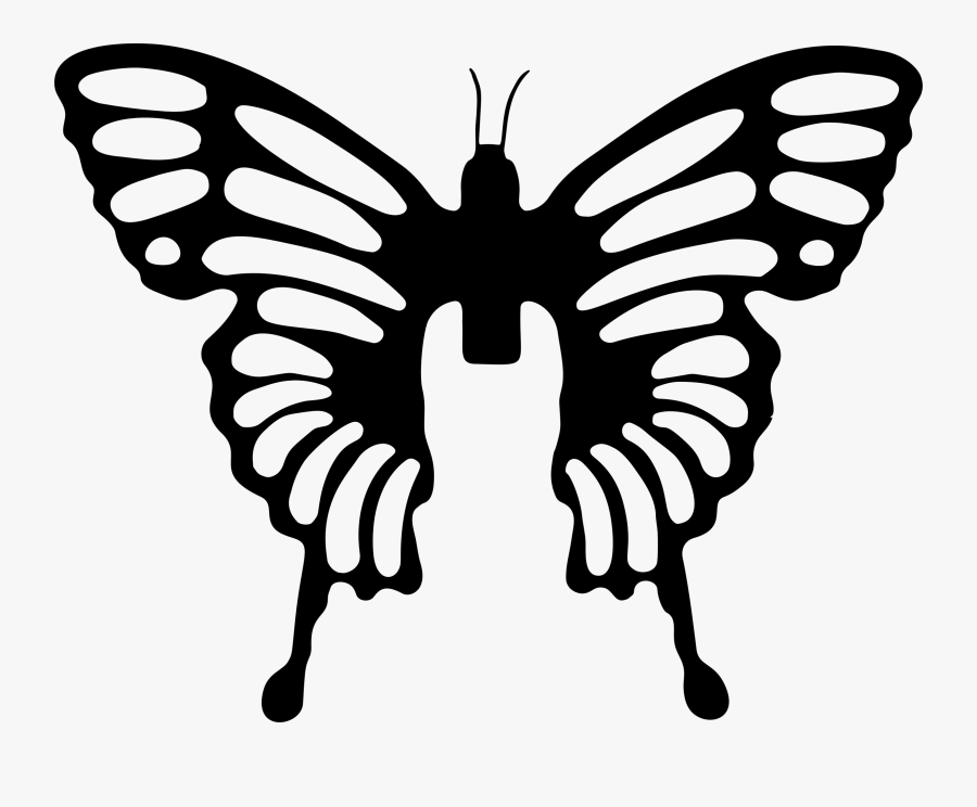 Symmetry,monochrome Photography,pollinator - Butterfly Brush Png, Transparent Clipart