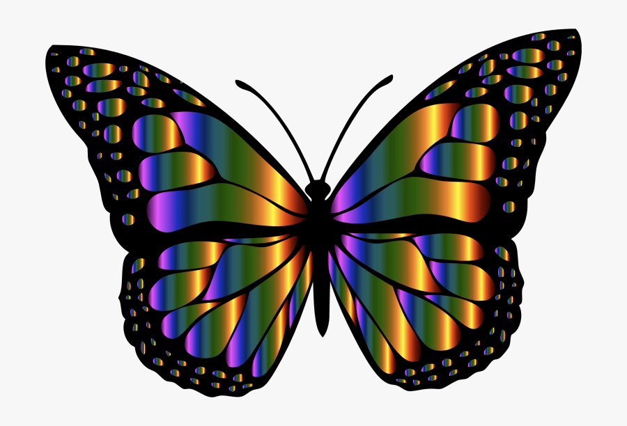 Monarch Butterfly 2 Variation - Rainbow Butterflies , Free Transparent ...