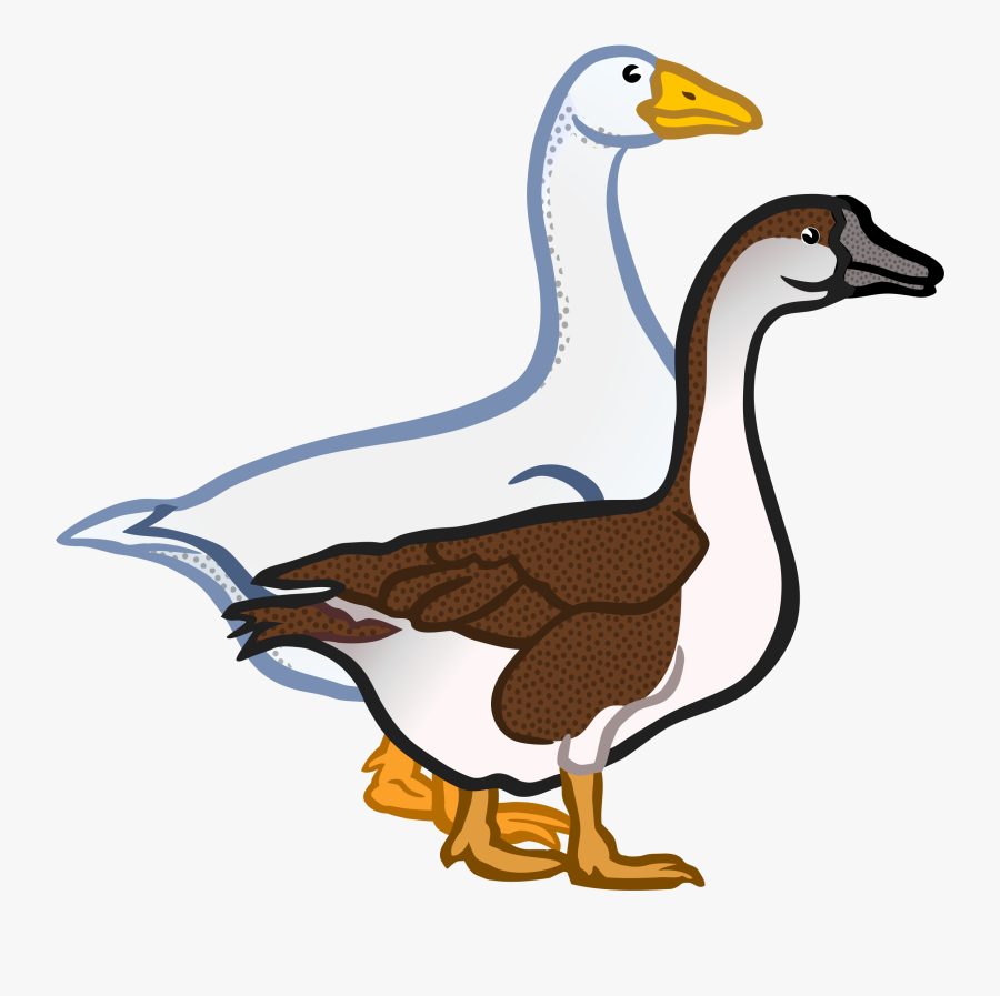 Geese - Coloured - Geese Clip Art, Transparent Clipart