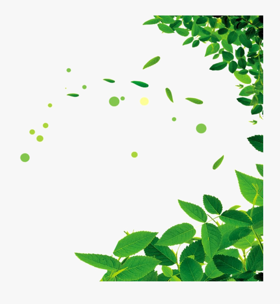 Green Leaves Png Picture - Green Leaves Png, Transparent Clipart