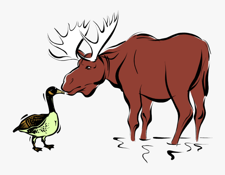 Goose Kissing A Moose Clipart, Transparent Clipart