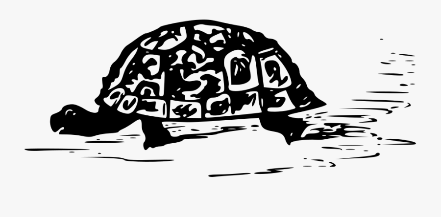 Turtle Drawing Svg Clip Arts Black Turtle Svg Free Transparent Clipart Clipartkey