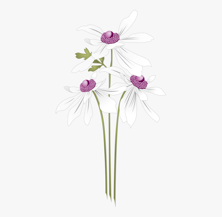 Tall Clip Art Flower - 花边 素材, Transparent Clipart