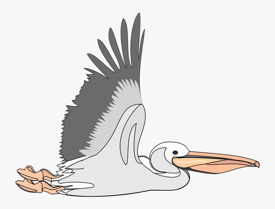 Brown Pelican Clip Art - Pelican Clip Art, Transparent Clipart