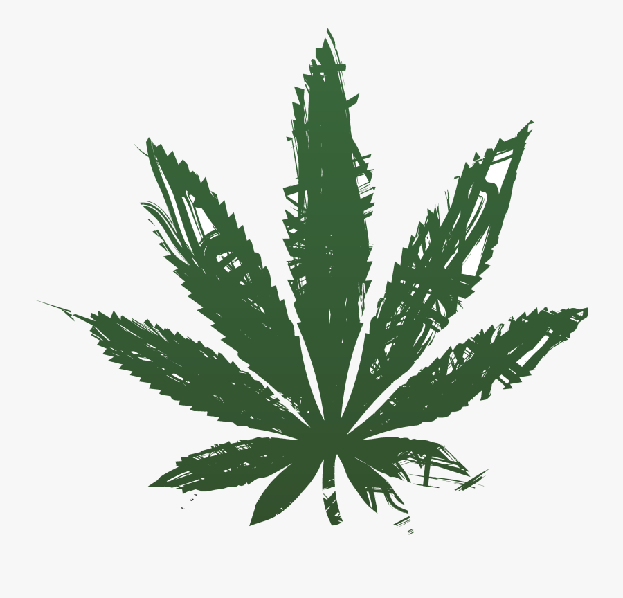 Plus, Folks Already Smoking Marijuana To Relieve Pain - Cannabis Club, Transparent Clipart