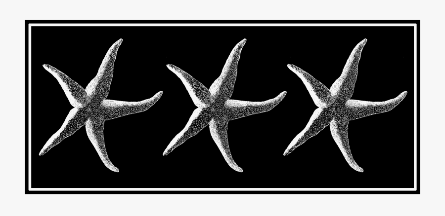 Starfish, Transparent Clipart