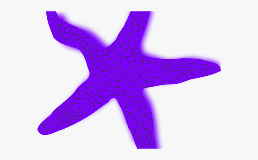 Starfish Clipart Cool - Starfish, Transparent Clipart