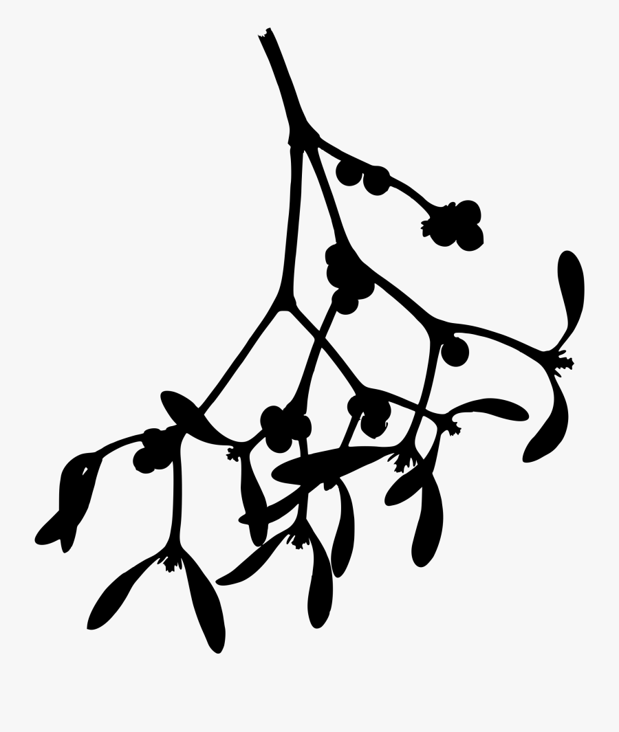 Mistletoe - Mistletoe Png, Transparent Clipart