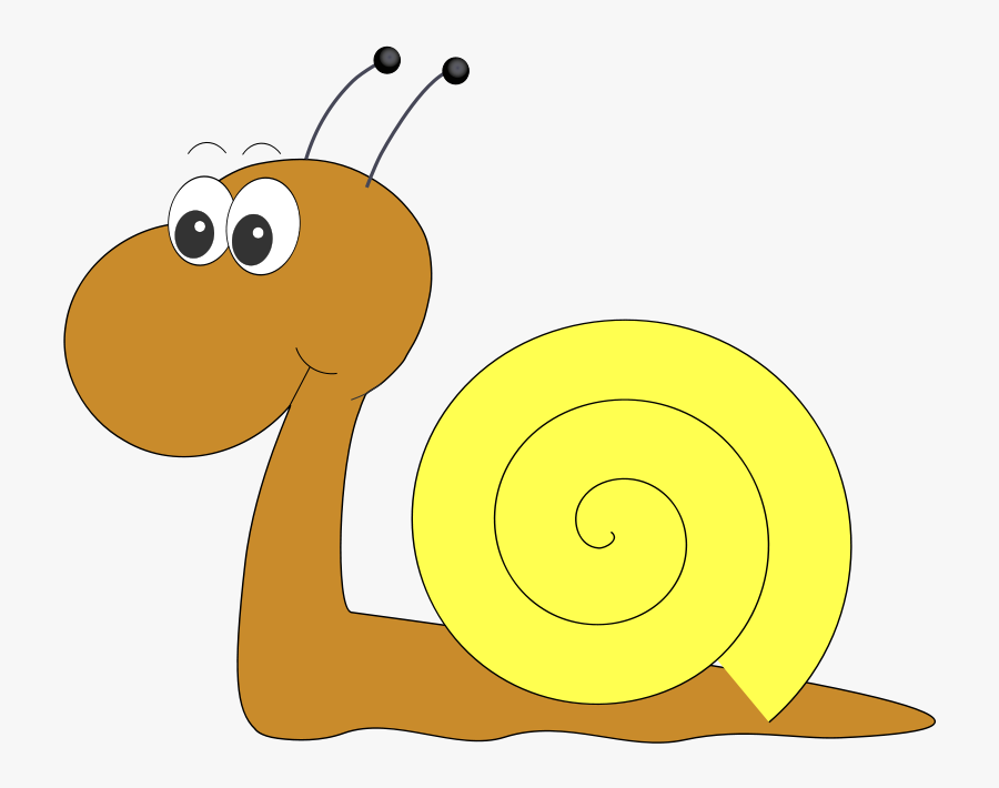 Snail Clip Art Download - Snail Clipart No Background, Transparent Clipart