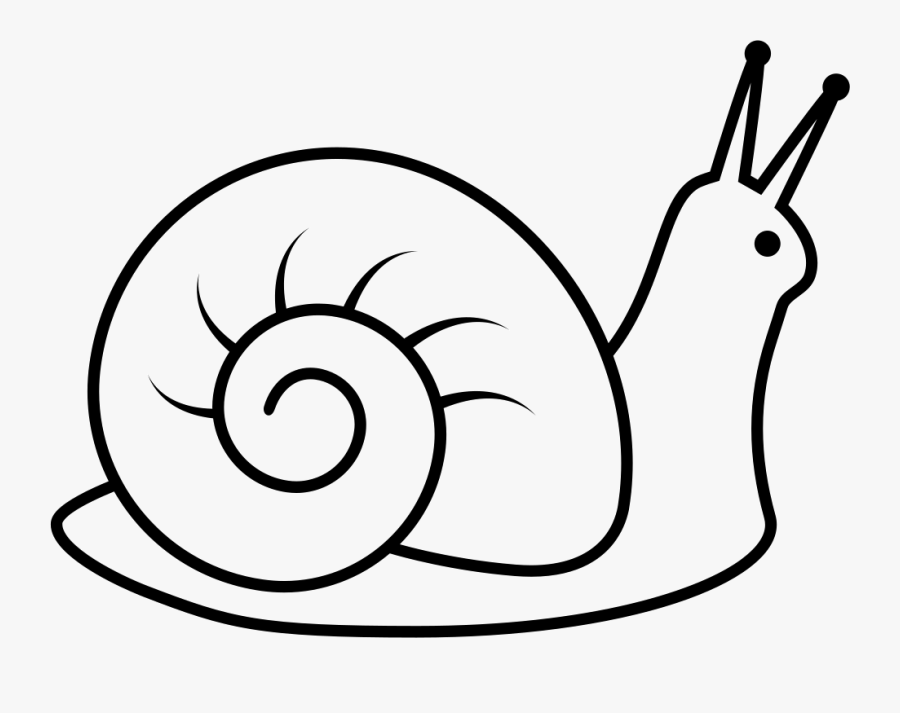 Drawing At Getdrawings Com - Snail Clipart Black And White, Transparent Clipart