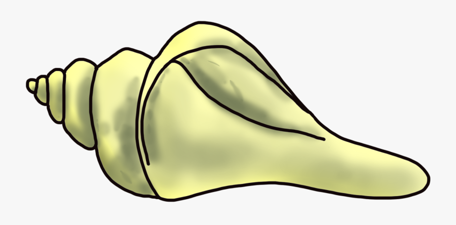 Cartoon Sea Snail Clip Art - Cartoon Conch, Transparent Clipart