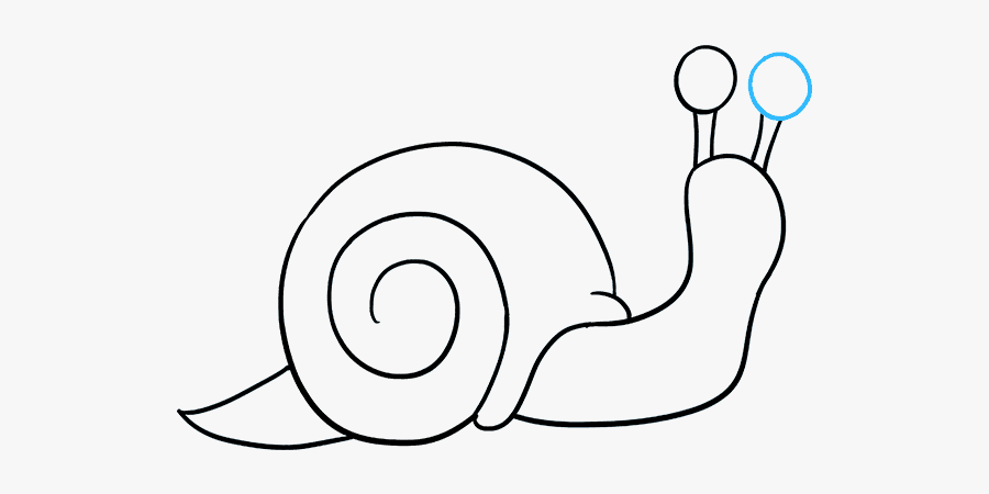 How To Draw Snail - Easy Drawing Of A Snail, Transparent Clipart