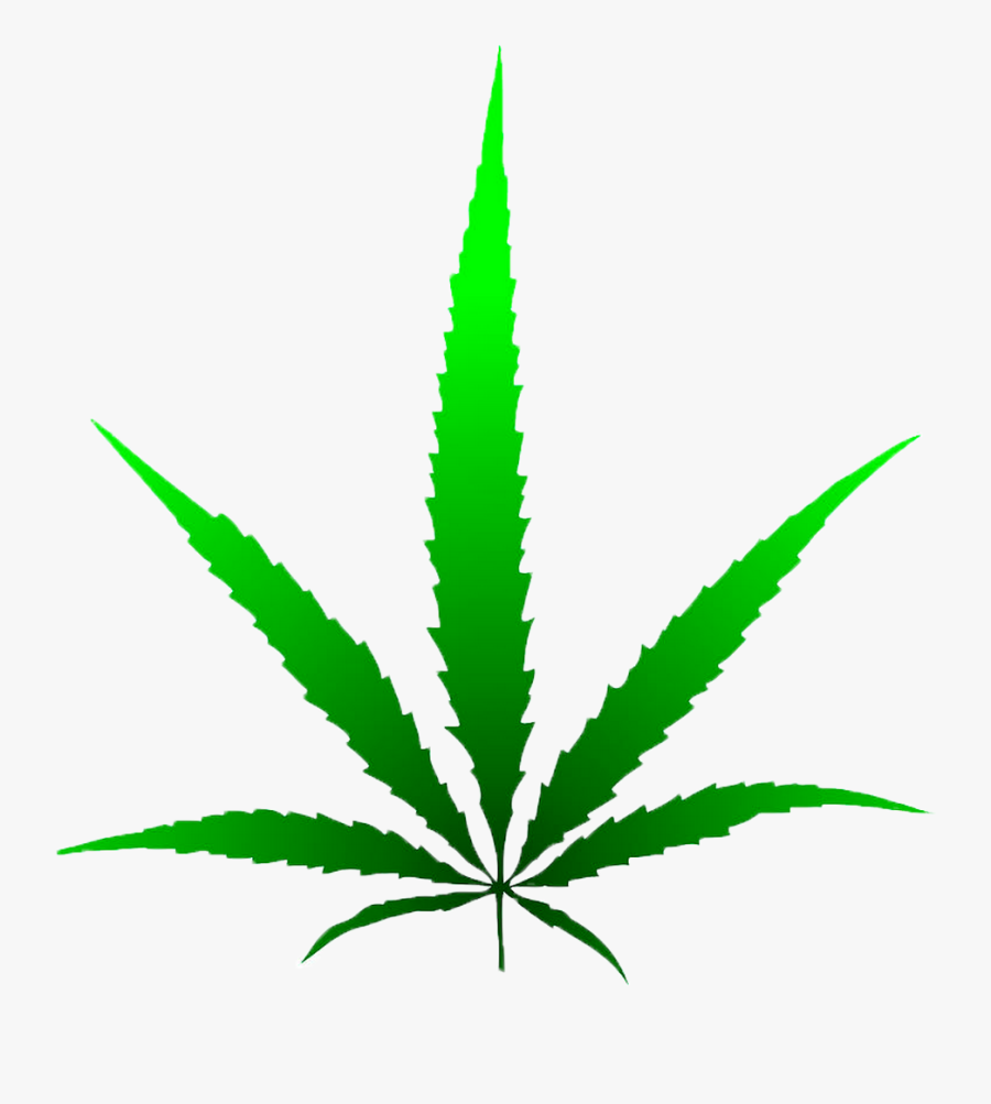 Marijuana Leaf Drawing, Transparent Clipart