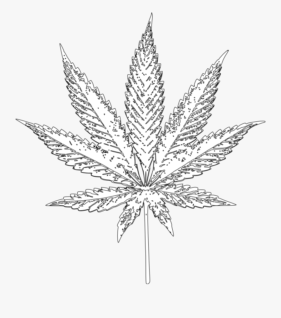 Png Free Download Got Cancer - Plant Transparent Black And White Cannabis Leaf, Transparent Clipart