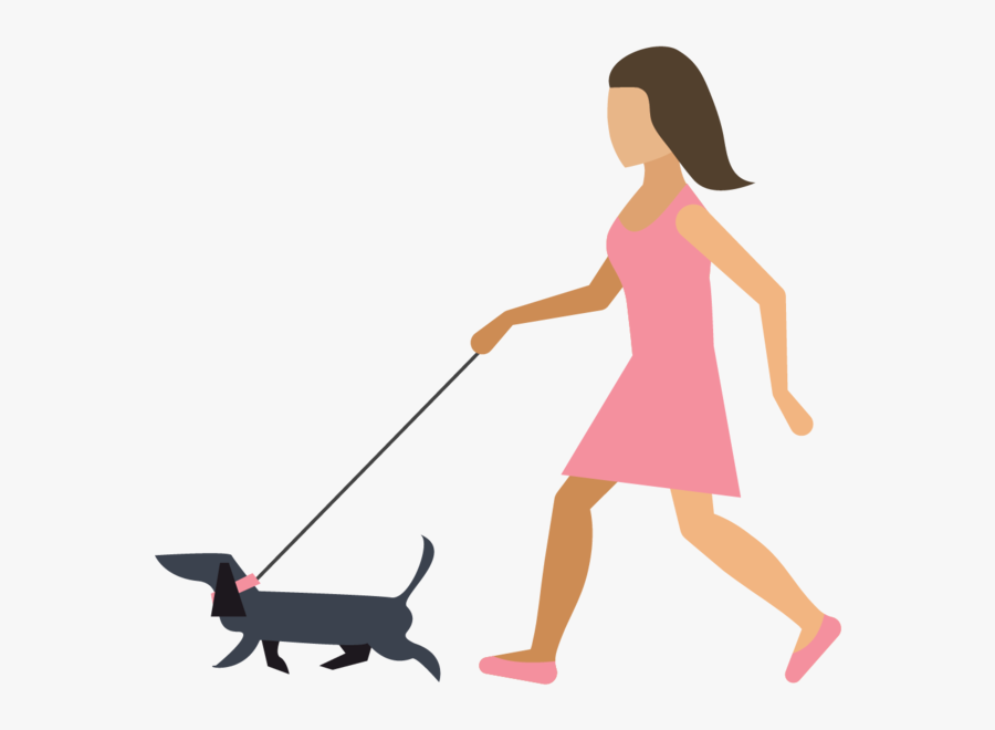 Dog Walking, Transparent Clipart