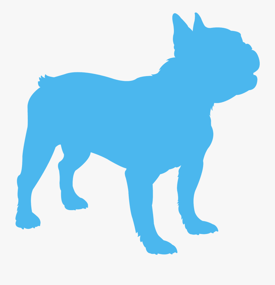 French Bulldog, Transparent Clipart