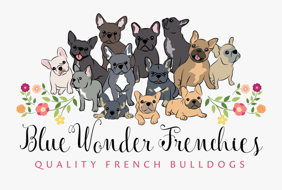 Our Frenchies Picture - Frenchies Cartoon, Transparent Clipart