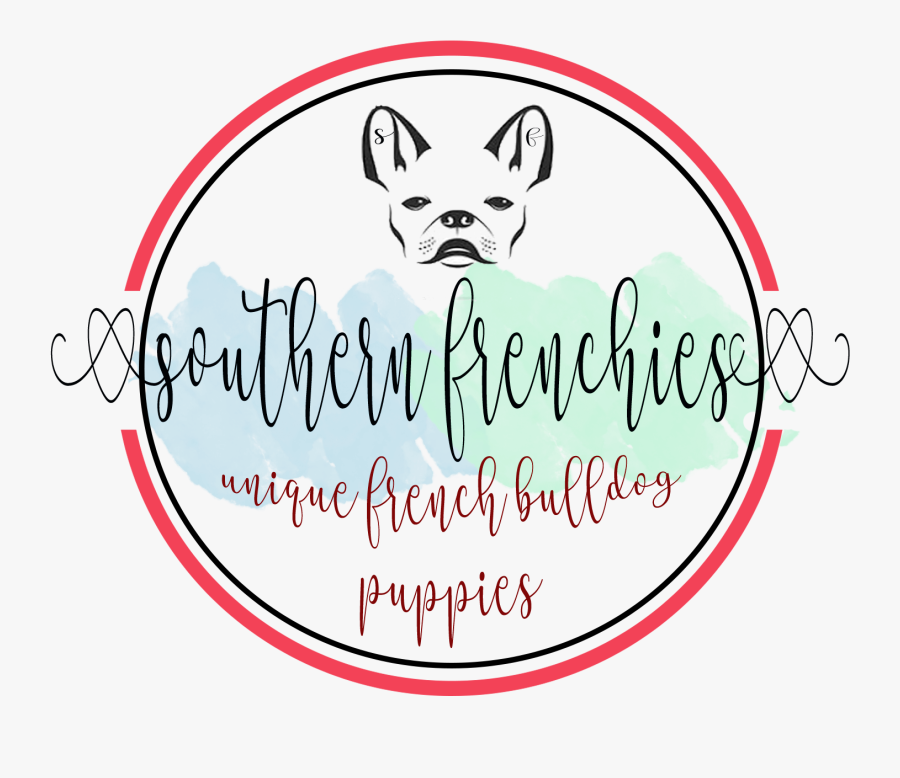 French Bulldog , Png Download - French Bulldog Face Outline, Transparent Clipart