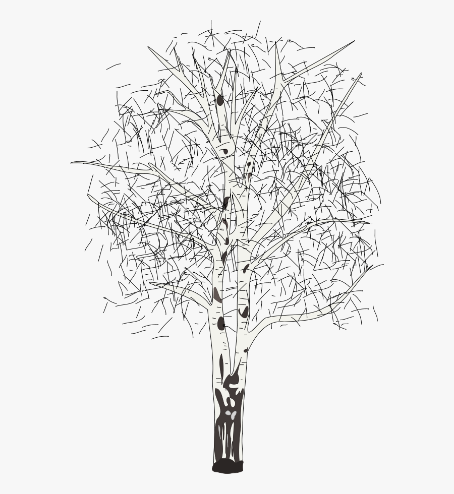 Download 17+ Birch Tree Svg Free Pictures Free SVG files ...