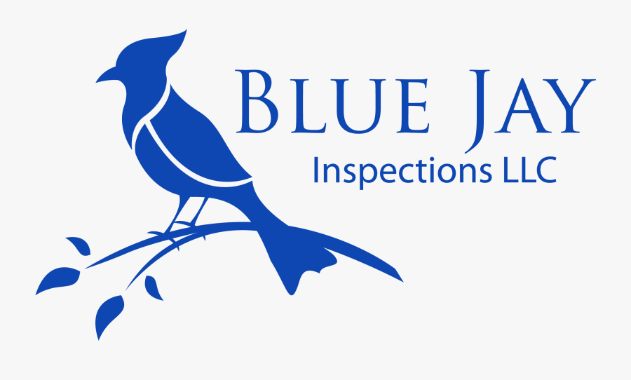 Transparent Blue Jay Png - Syntech Bioenergy, Transparent Clipart