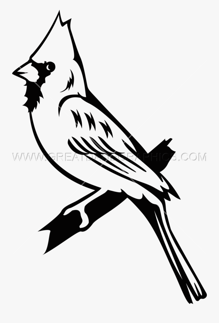 Bluejay Drawing Cardinal - Cardinal Black And White, Transparent Clipart