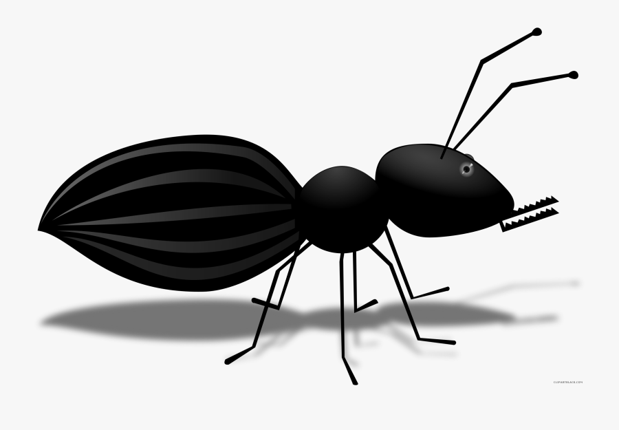 Ant Cartoon Animal Free Black White Clipart Images - Ant, Transparent Clipart