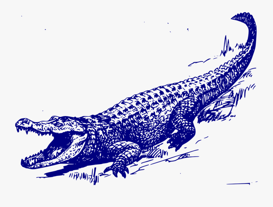 Alligator, Lying, Yawning, Blue - Alligator Transparent Background Clipart, Transparent Clipart