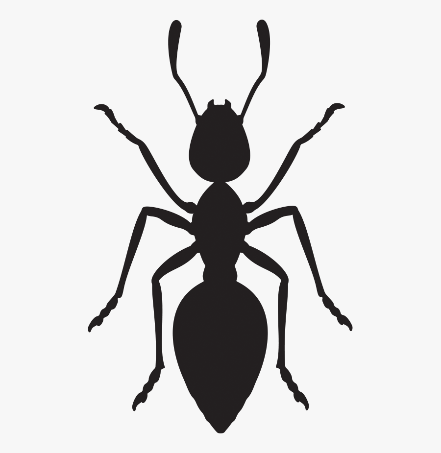 Transparent Ant Colony Clipart - Termites Clipart Black And White, Transparent Clipart
