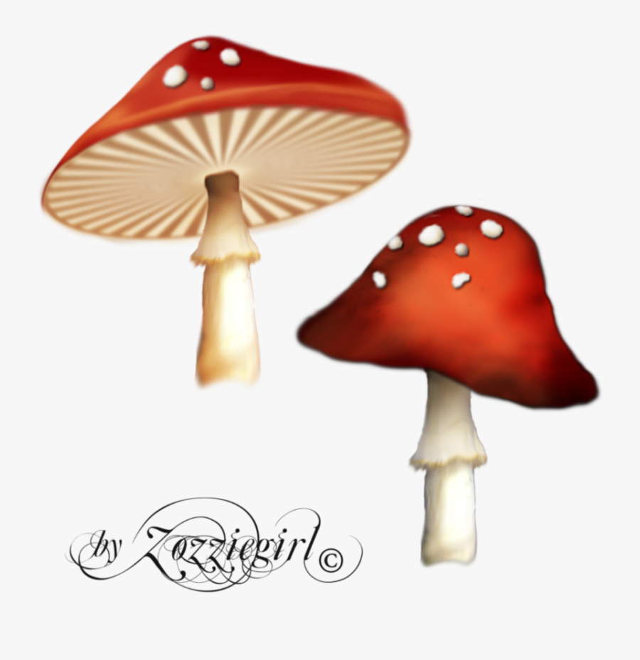 Mushrooms Clipart Enchanted - Magical Mushroom Png, Transparent Clipart