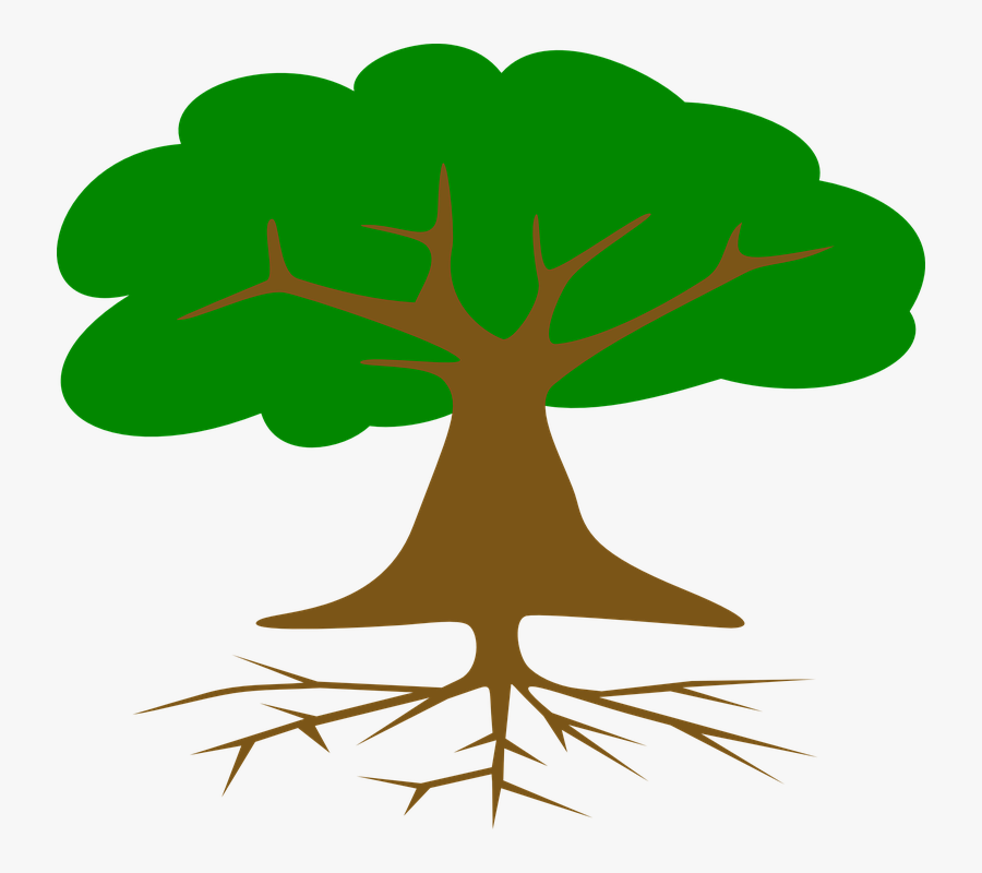 Tree Roots Leaves Cross - Arbol Con Raices Dibujo, Transparent Clipart