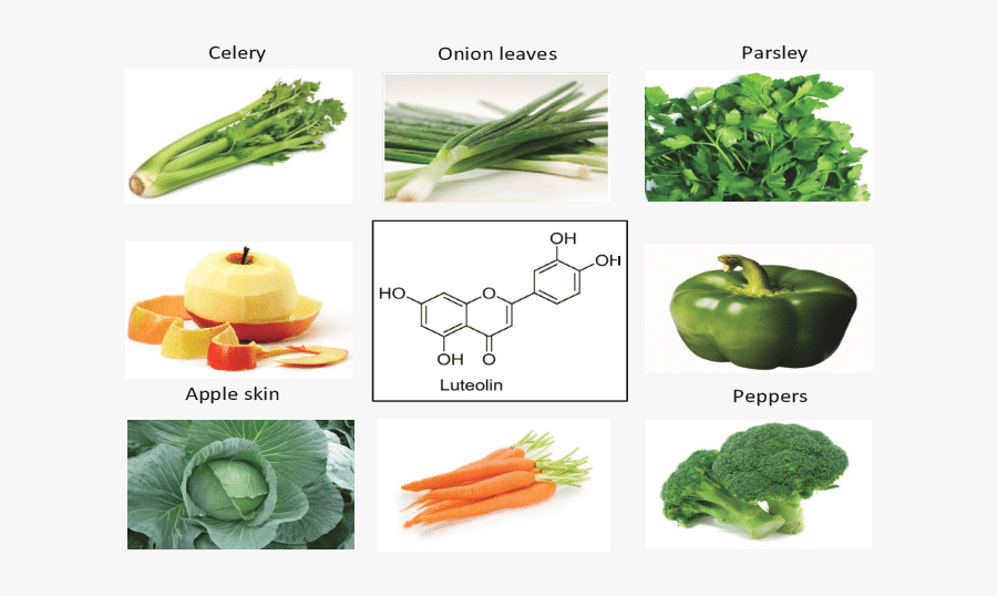 Vegetables And Fruits Such As Celery, Parsley, Broccoli - Luteolin Sources, Transparent Clipart