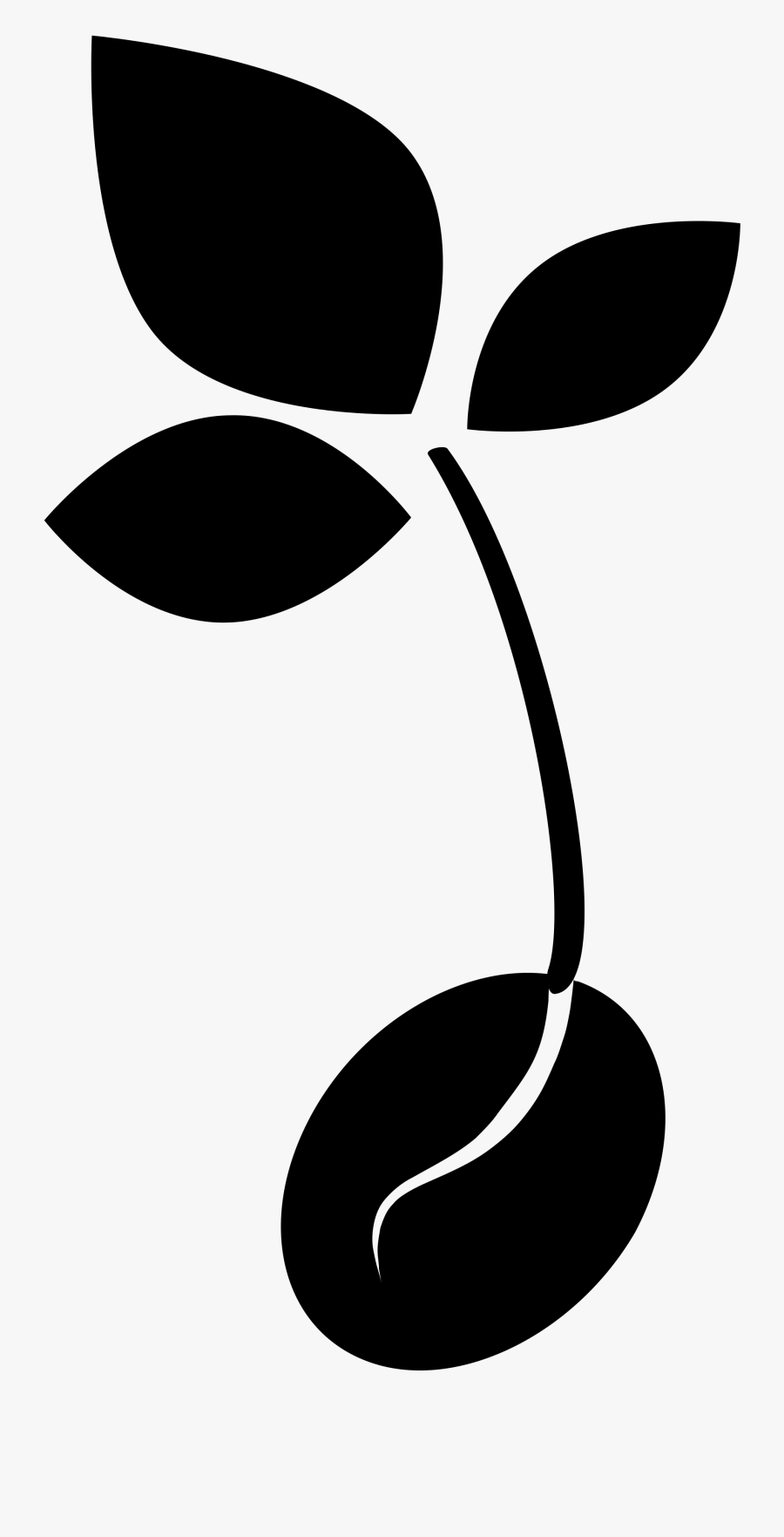 Transparent Plant Sprout Clipart - Seedling Black And White, Transparent Clipart