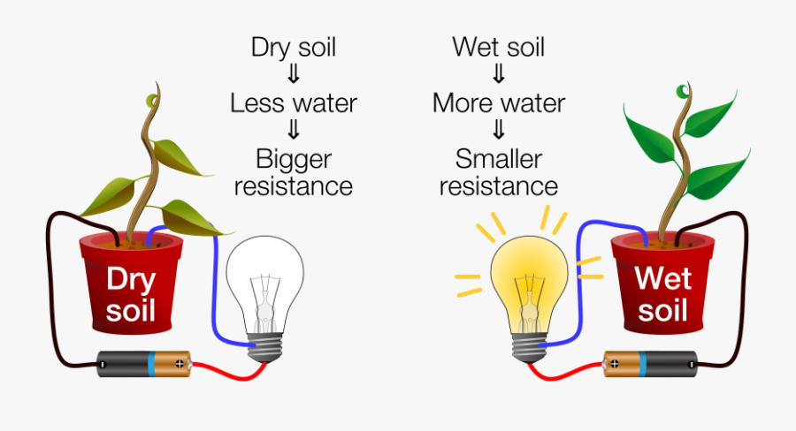 Dry-wet Soil Diagram - Getting To Know Plants, Transparent Clipart