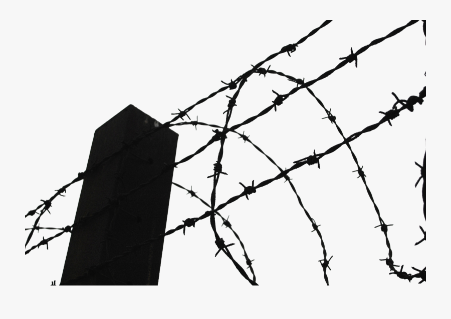 Barbwire Png Clipart - Barbed Wire Fence Png, Transparent Clipart