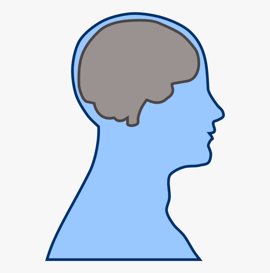 Transparent Brain Clip Art - Cartoon Head With Brain, Transparent Clipart